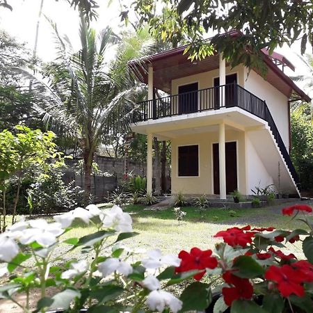 Blue Point Rest Hotel Tangalle Ngoại thất bức ảnh
