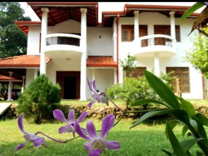 Blue Point Rest Hotel Tangalle Ngoại thất bức ảnh