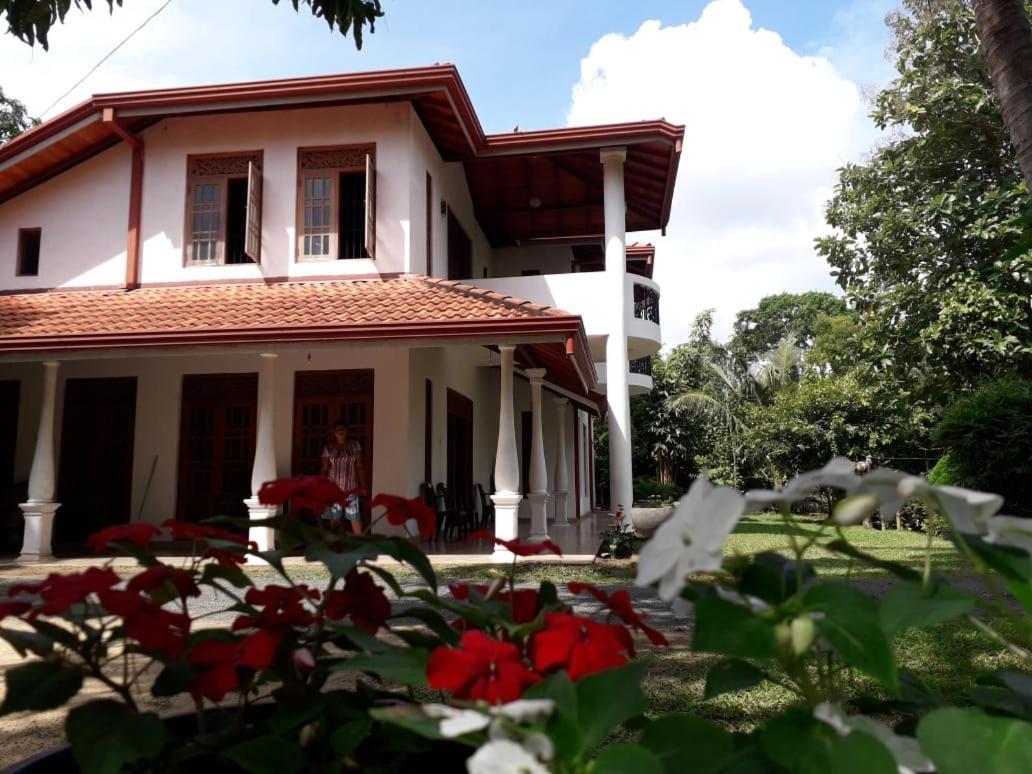 Blue Point Rest Hotel Tangalle Ngoại thất bức ảnh